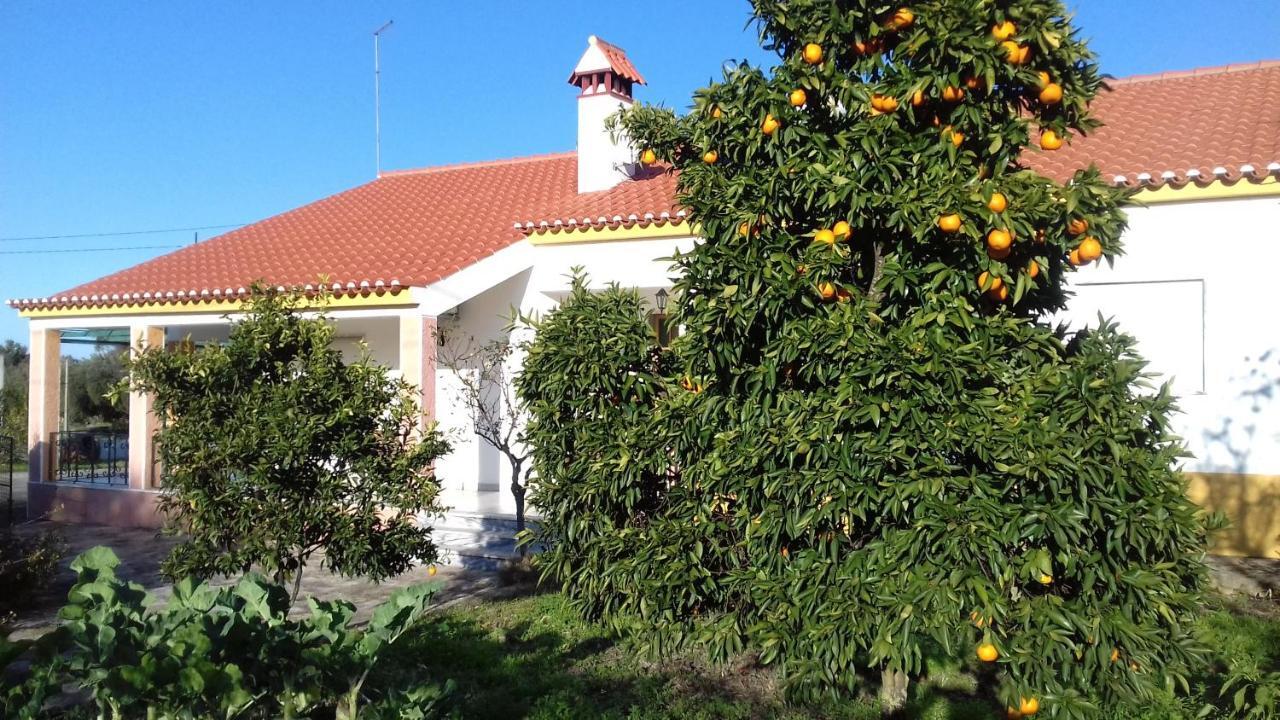 Tapada Da Beira Βίλα Marvão Εξωτερικό φωτογραφία
